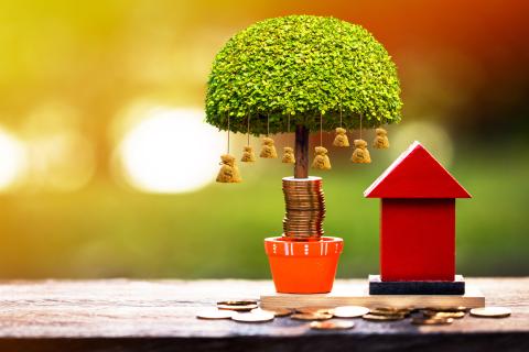 Red model home and a tree on top of pennies